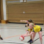 2016_01_23 Landesliga Frauen